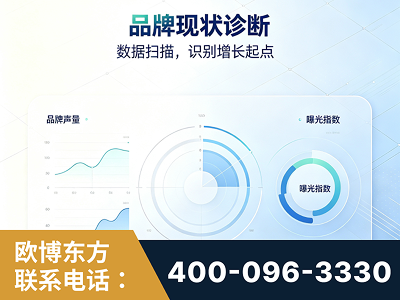 庄河-品牌现状诊断