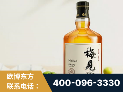 庄河-梅见青梅酒
